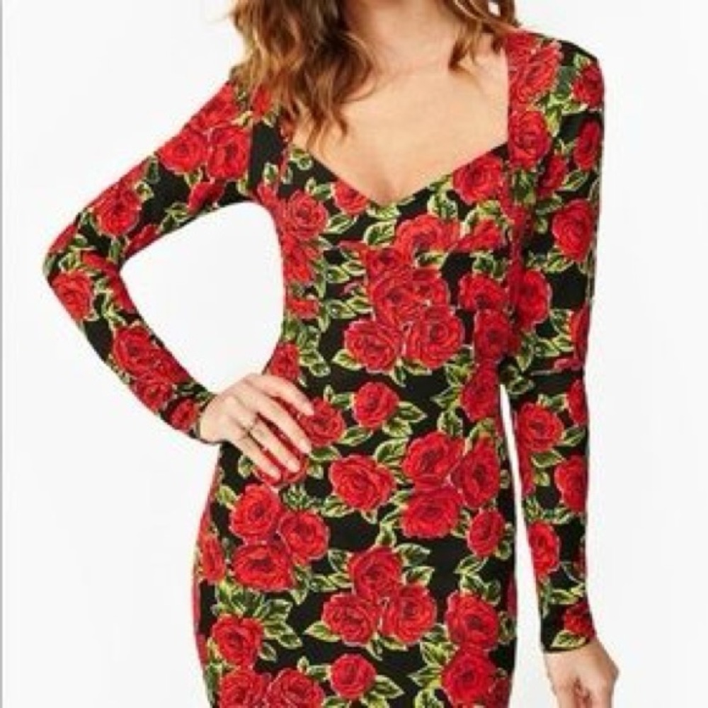 MINKPINK Red Rose Long Sleeve Dress